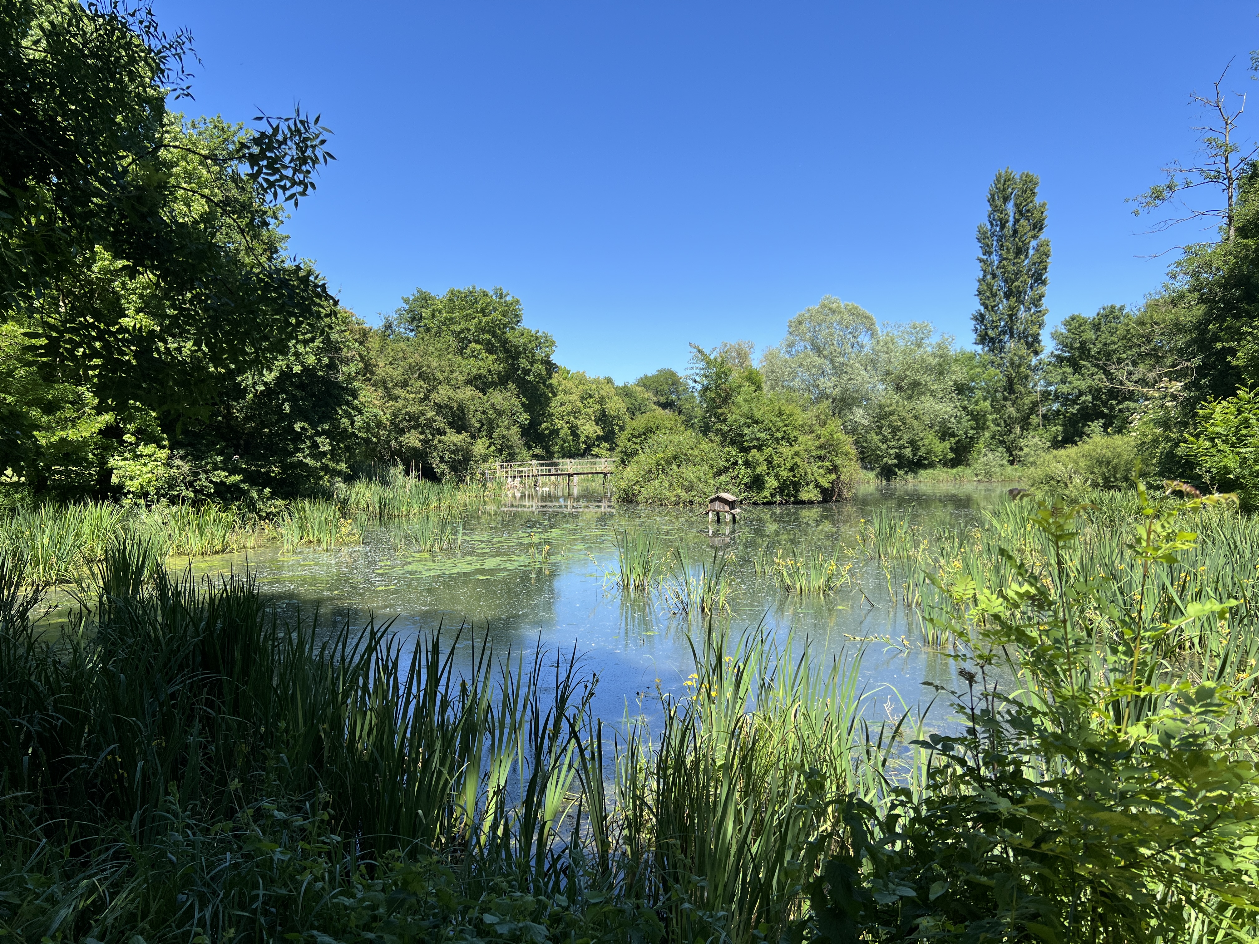 image d'un souvenir